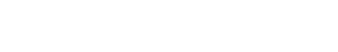 The IBS Guide